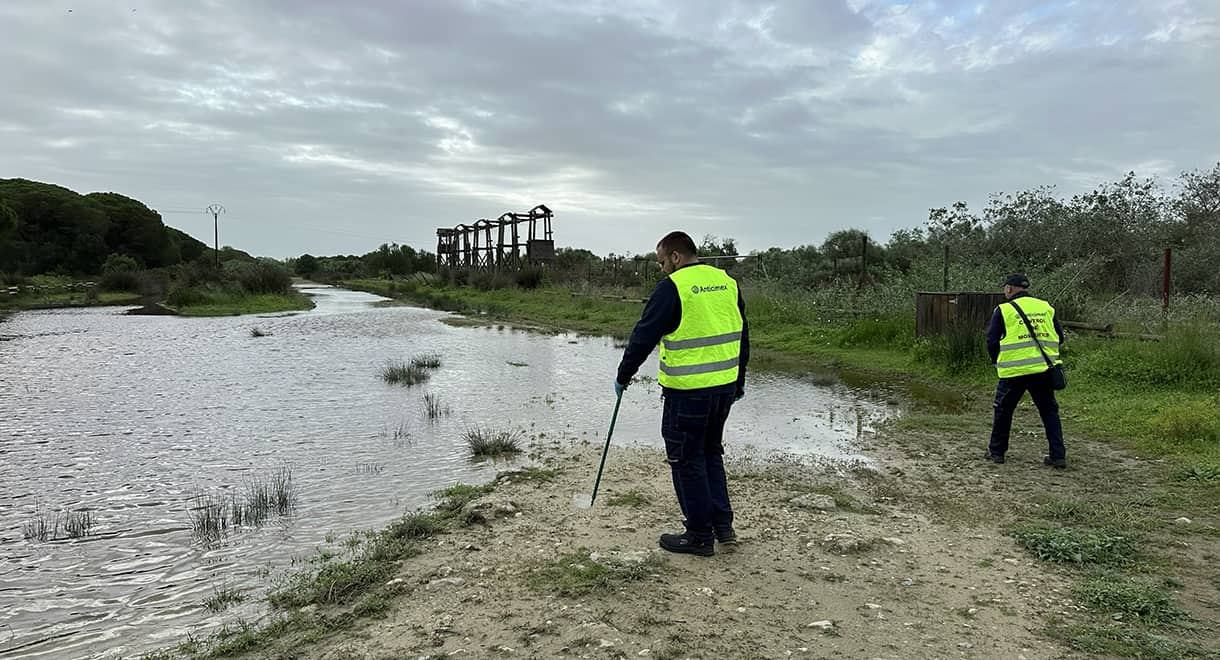 Imagen de la noticia: El Ayuntamiento mantiene la vigilancia y recuerda las medidas de prevención frente al virus del Nilo (Medio Ambiente)